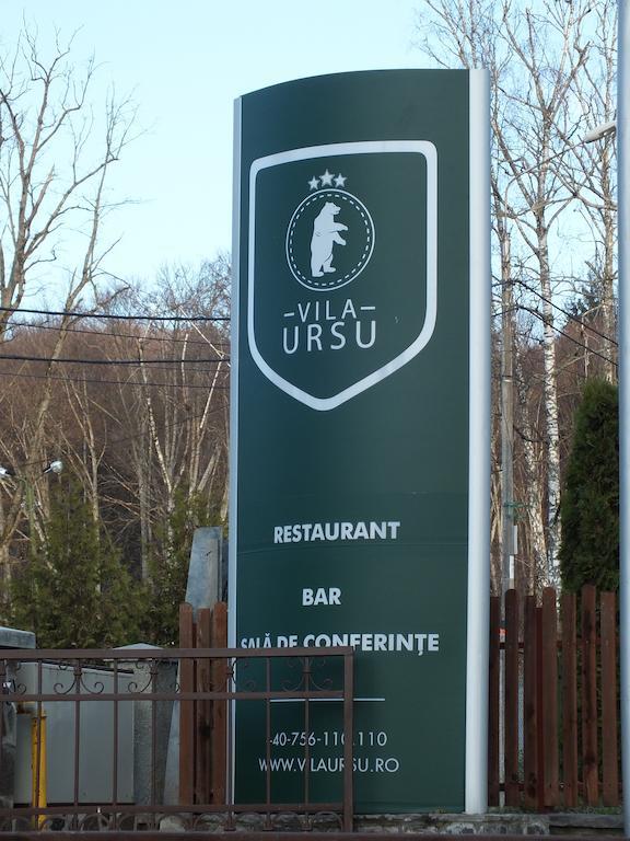 Vila Ursu Din Sovata Bai 外观 照片